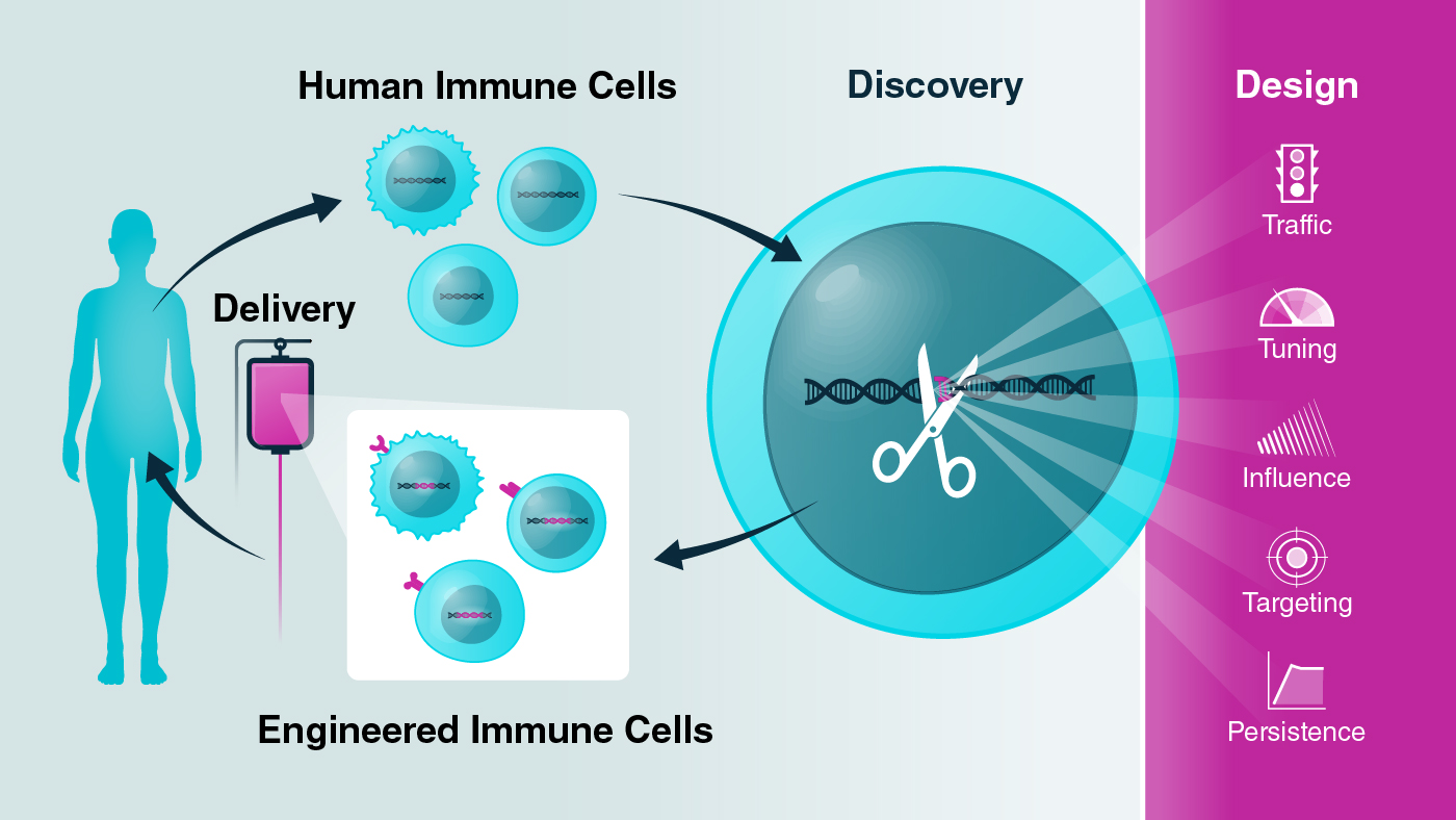 Graphic showing the approach of the Gladstone-UCSF Institute of Genomic Immunology