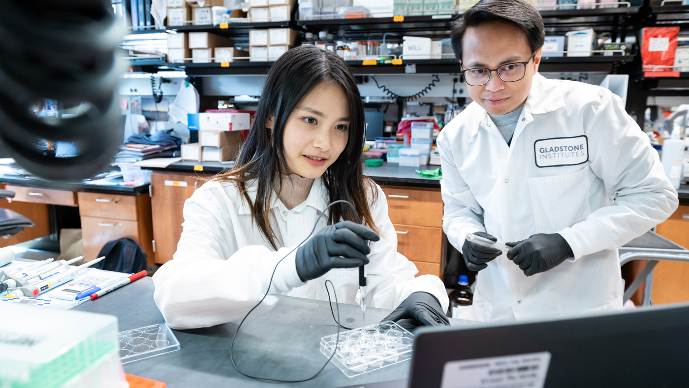 Kirsten Chen and Galih Haribowo working in the lab at Gladstone Institutes