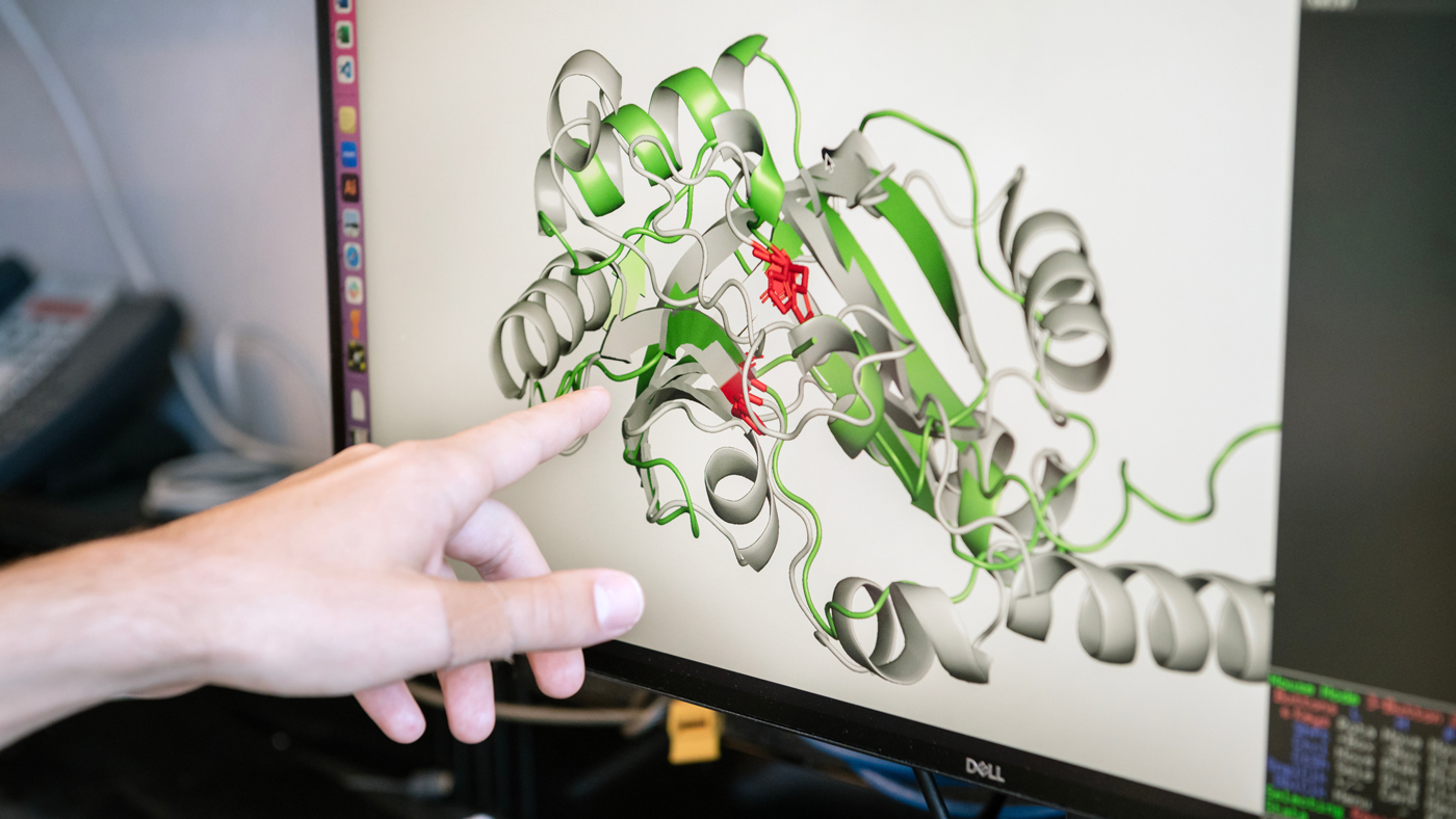 Jason Nomburg looks at the predicted structure of LigT-like phosphodiesterases at Gladstone Institutes.