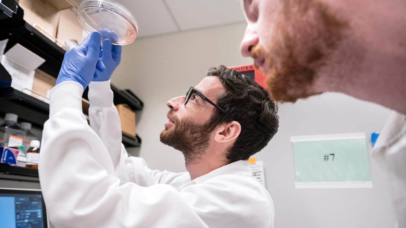 Jason Nomburg and Nate Price look at cells in a tissue culture room at Gladstone Institutes.