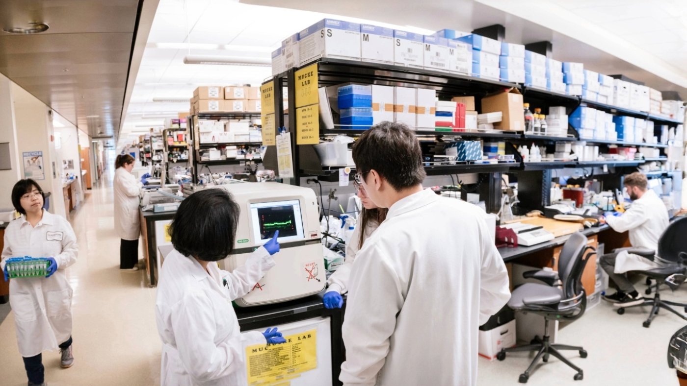 Scientists in the Mucke lab working at a computer at Gladstone Institutes