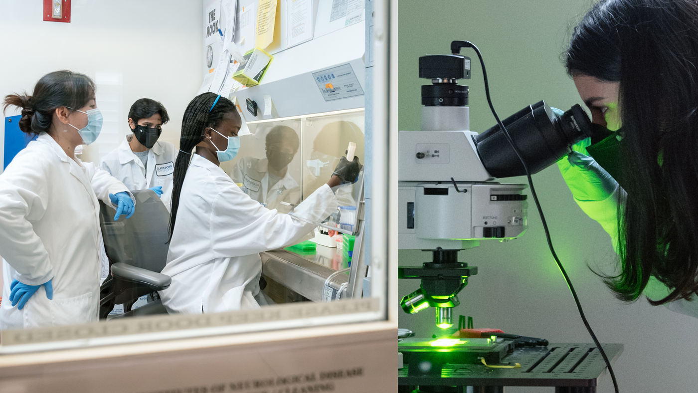 Two images side by side. The first image of an intern working in a lab with mentors behind her. The second image is an intern looking through a microscope