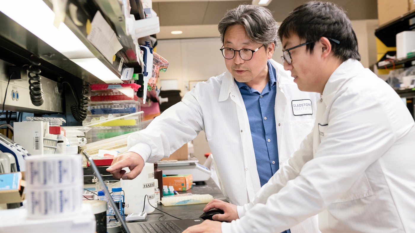 Scientists working in the Akassoglou lab at Gladstone Institutes