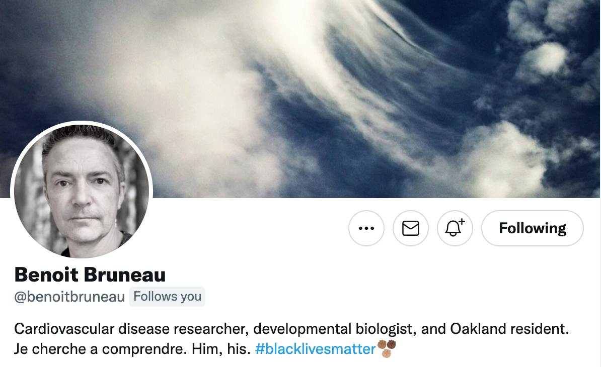 screenshot of Benoit Bruneau's Twitter profile. 