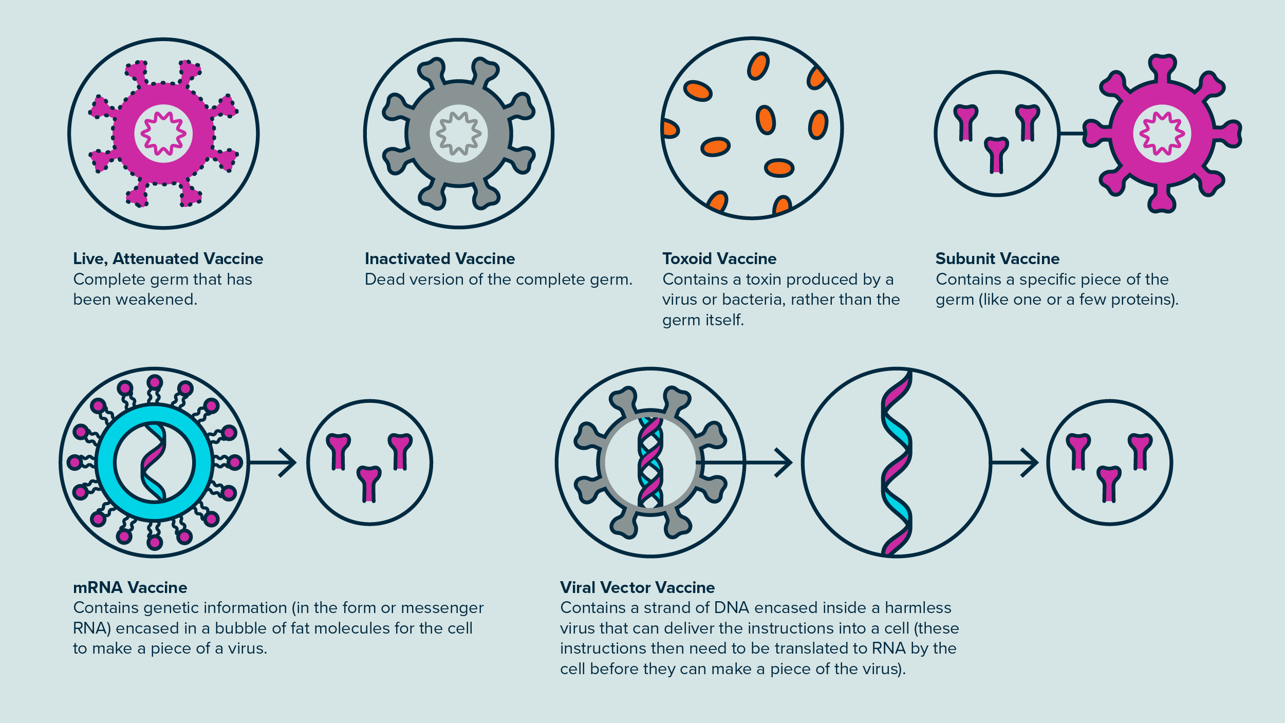 Infographic explaining the different types of vaccines