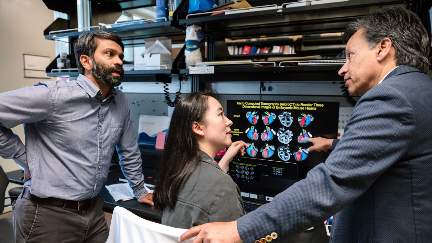 Sanjeev Ranade, Feiya Li, and Deepak Srivastava at Gladstone Institutes