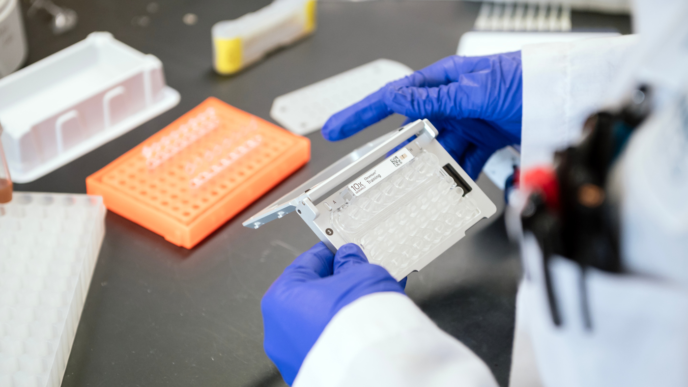 Closeup of Julie Frouard's hands as she works in the lab at Gladstone Institutes