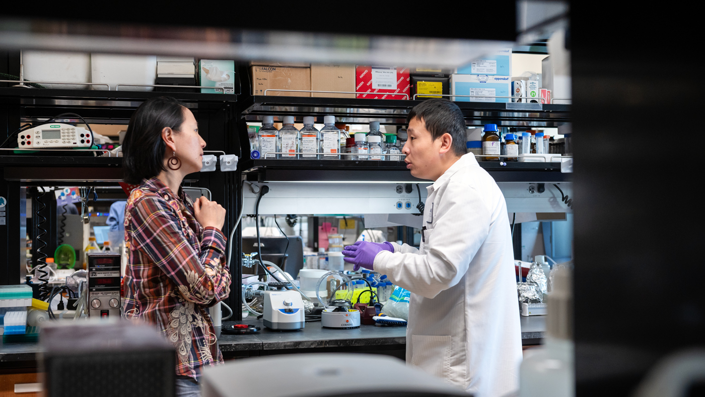 Nadia Roan and Kailin Yin in the lab at Gladstone Institutes