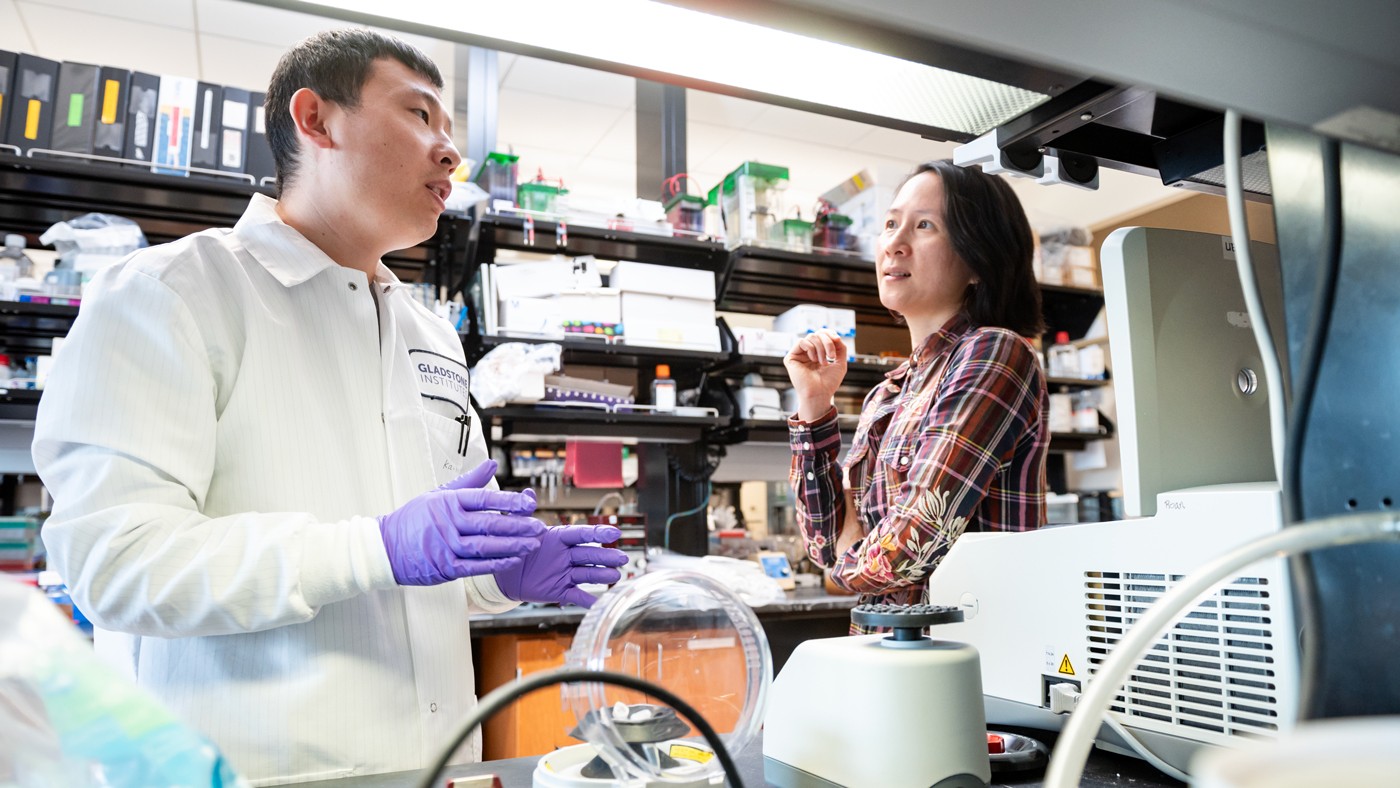 Kailin Yin (left) and Nadia Roan (right) talking in the lab together at Gladstone Institutes