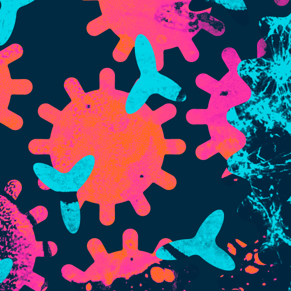illustration of cells in pink and blue
